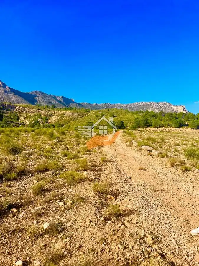 Terrenos y solares en venta en Vélez-Blanco, imagen 14