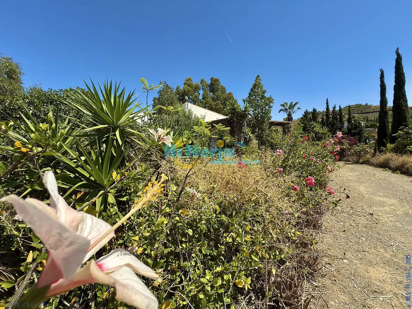 Finca rústica en venta en Vélez-Málaga