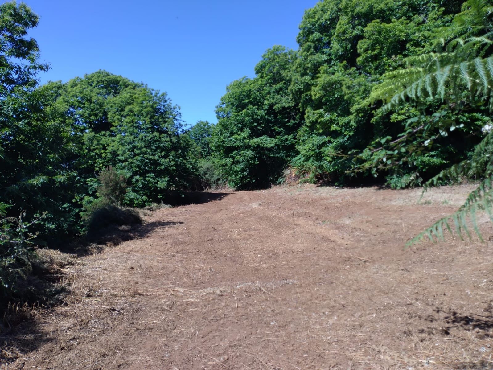Country house for sale in La Matanza de Acentejo