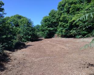 Finca rústica en venda en La Matanza de Acentejo