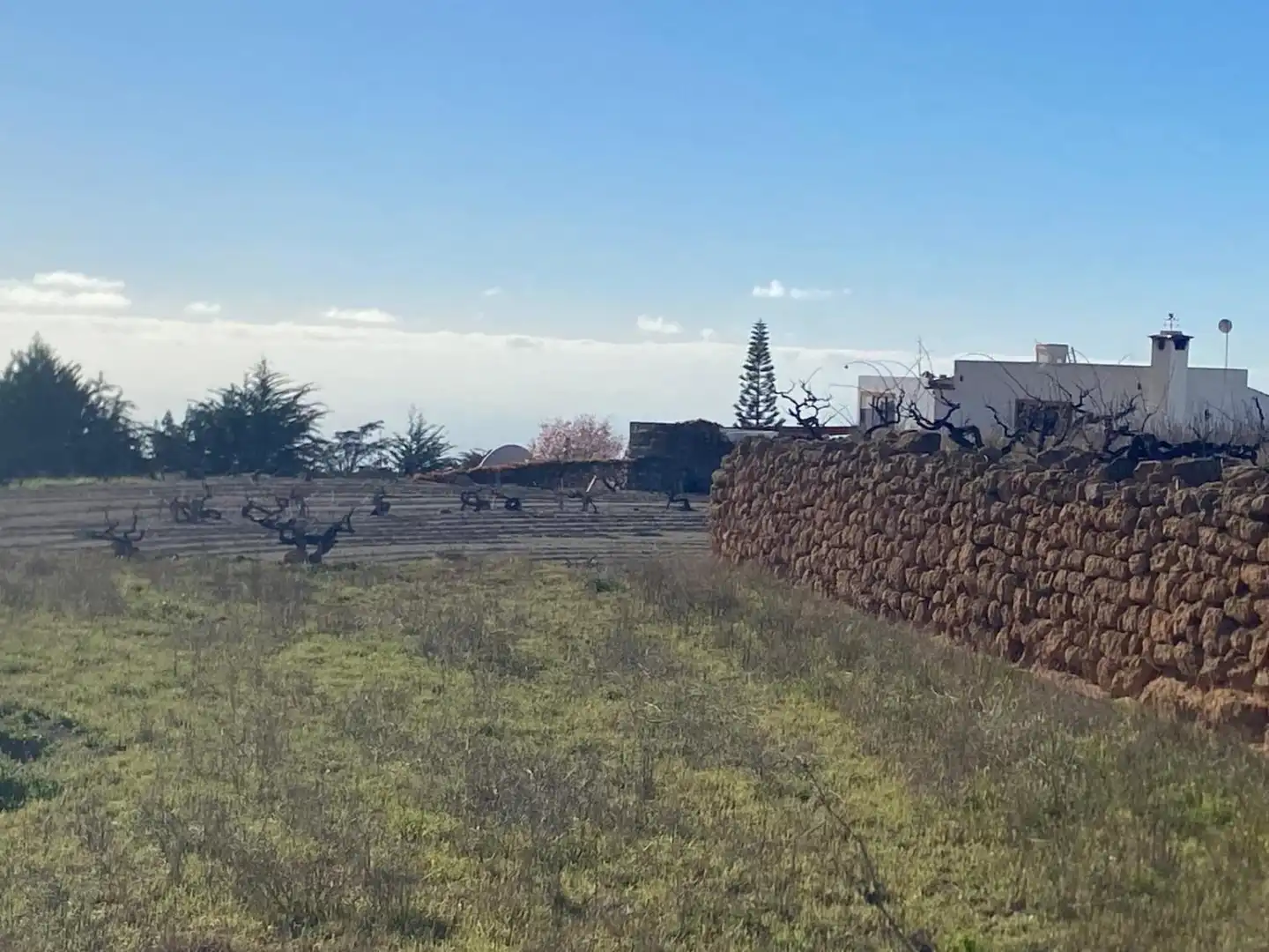Land for sale in Granadilla de Abona
