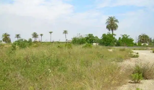Terreny residencial en venda a Carcaixent