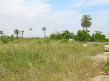 Terreny residencial en venda a Carcaixent