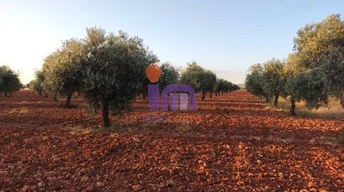 Finca Rúst. en venta en Moral De Calatrava., imatge 2