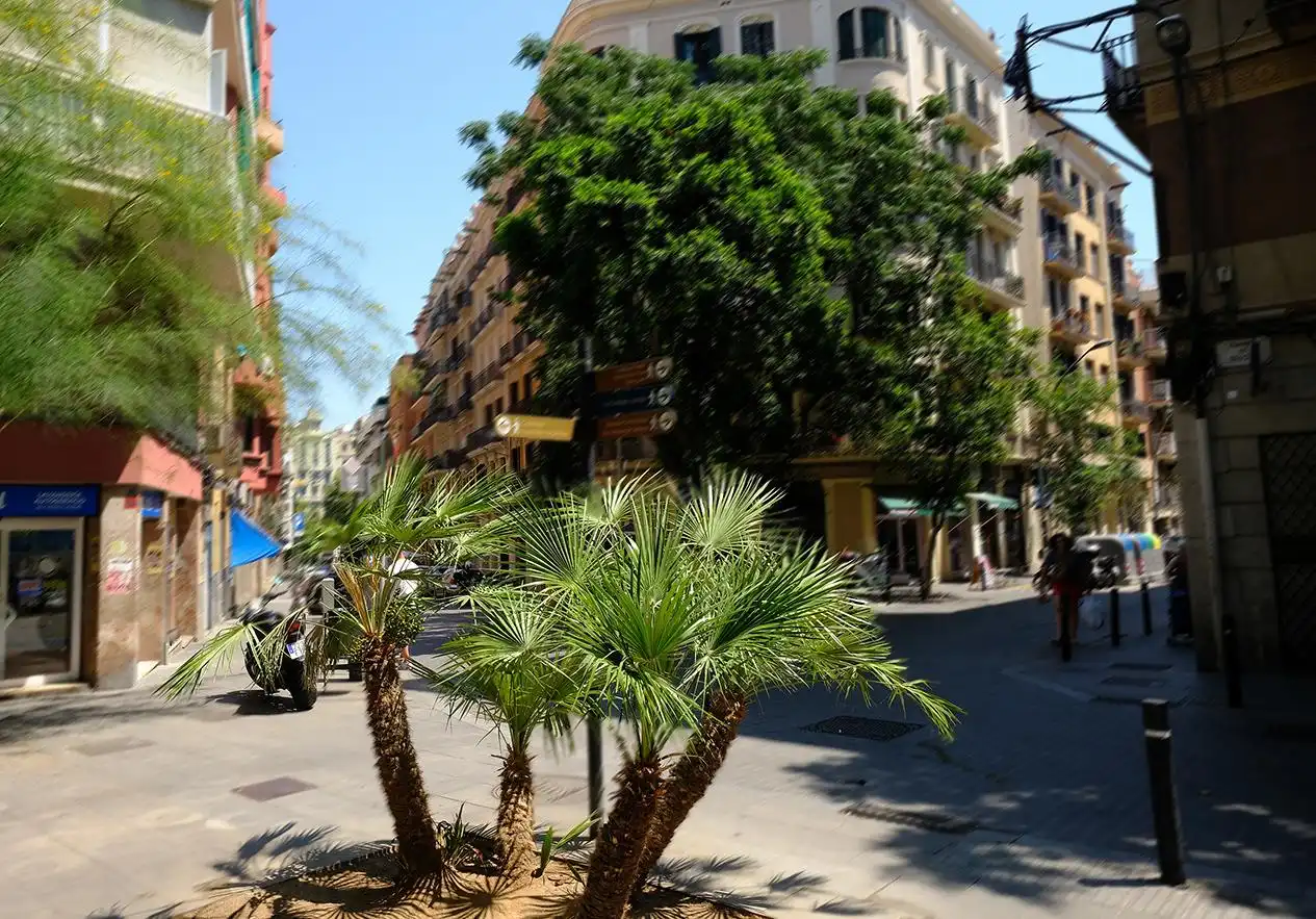 Business premises for transfer in Sants - Montjuïc, imagen 2