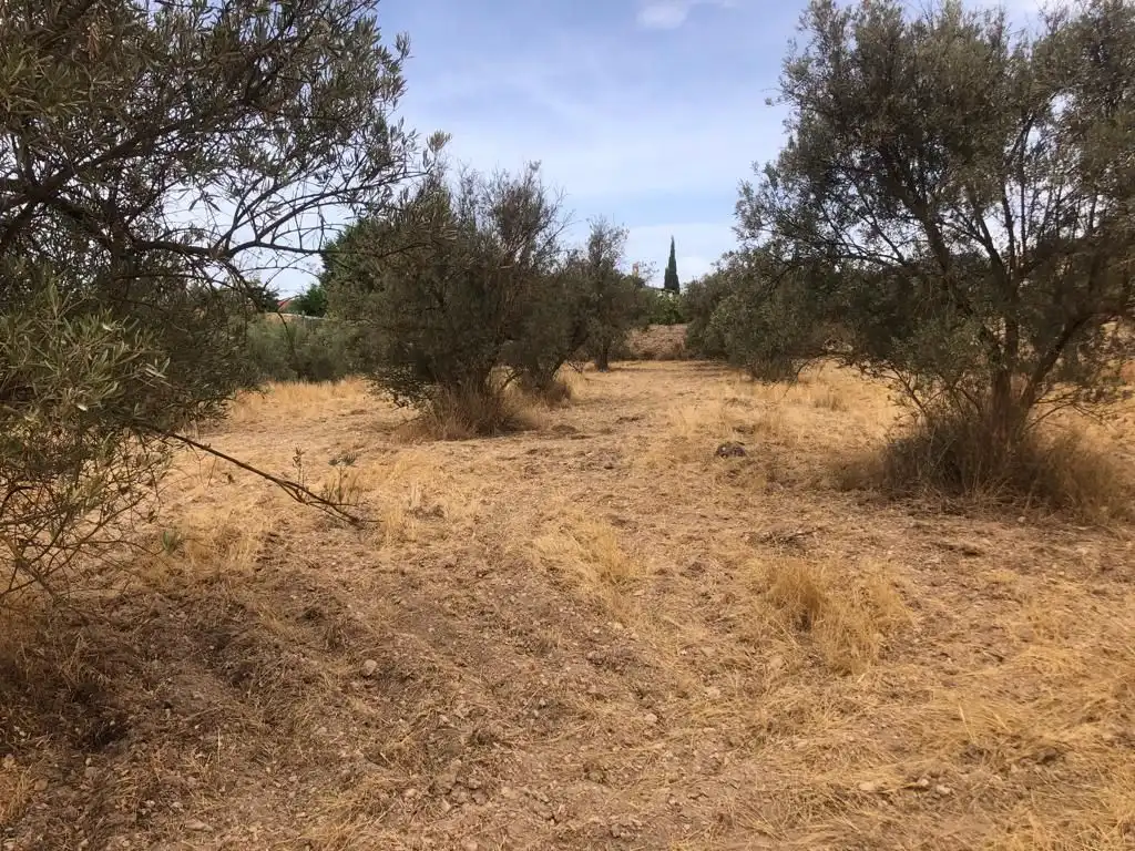 Rural land for sale in Dúrcal, imagen 7