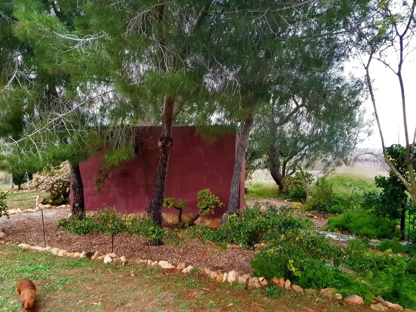 Casa rústica en venda a Centro, imagen 20