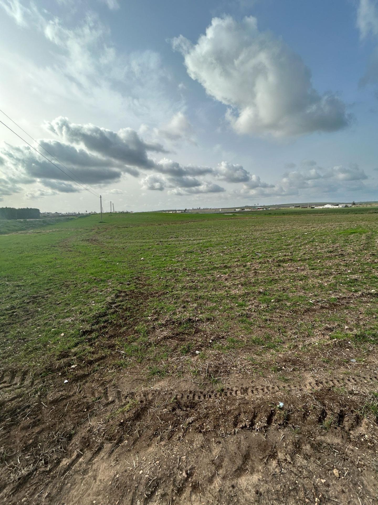 Grundstücke zum Verkauf in Utrera