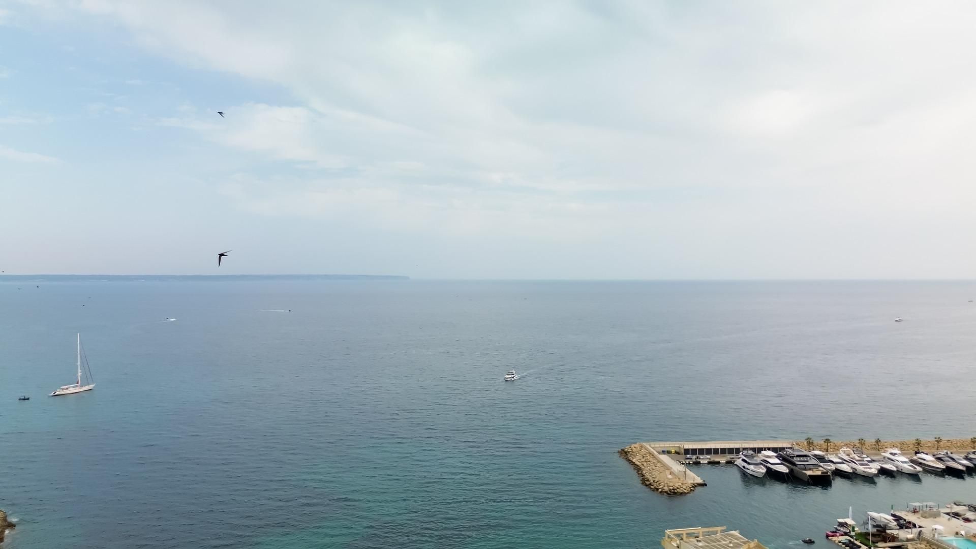 Vista exterior de Planta baixa en venda en  Palma de Mallorca amb Aire condicionat, Calefacció i Jardí privat