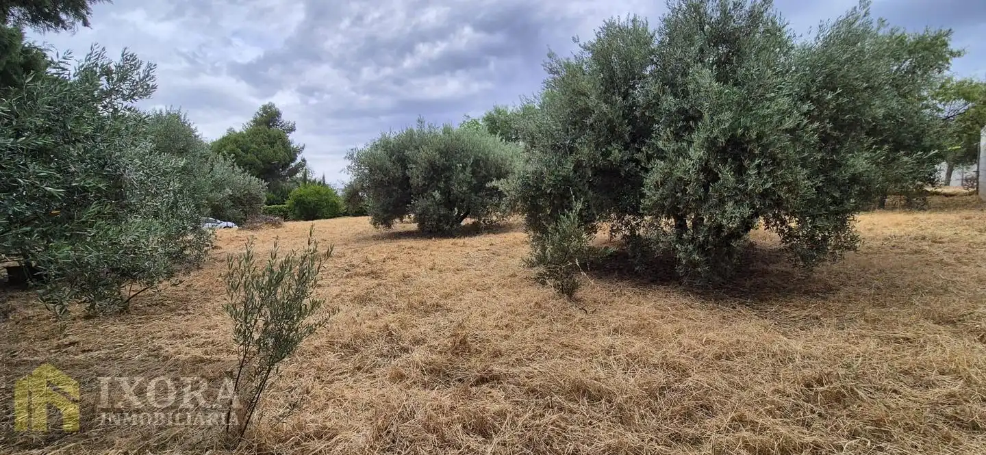 Terreni e lotti in vendita a Úbeda, imagen 4