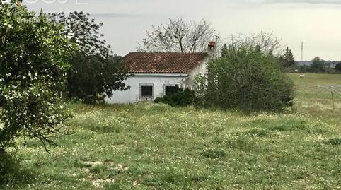 Foto 2 de Finca rústica en venda a Almonte ciudad, Almonte