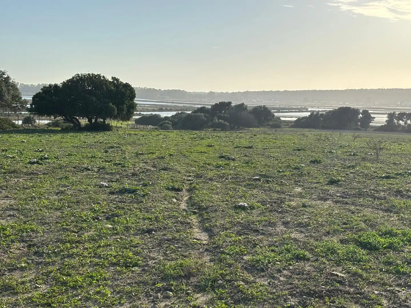 Terreni e lotti in vendita a Vejer, imagen 9