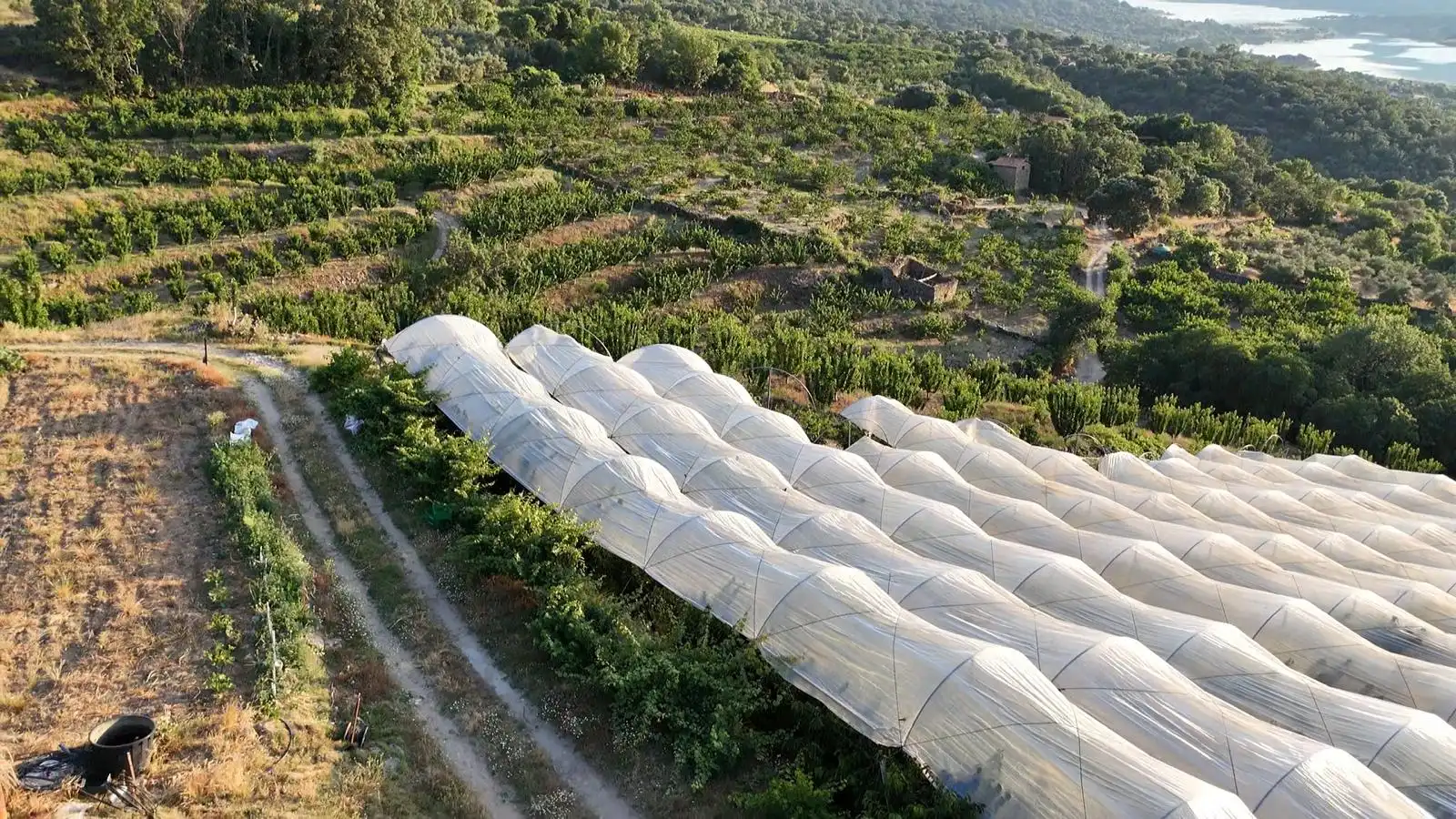 Terreni e lotti in vendita a Casas del Castañar, imagen 2