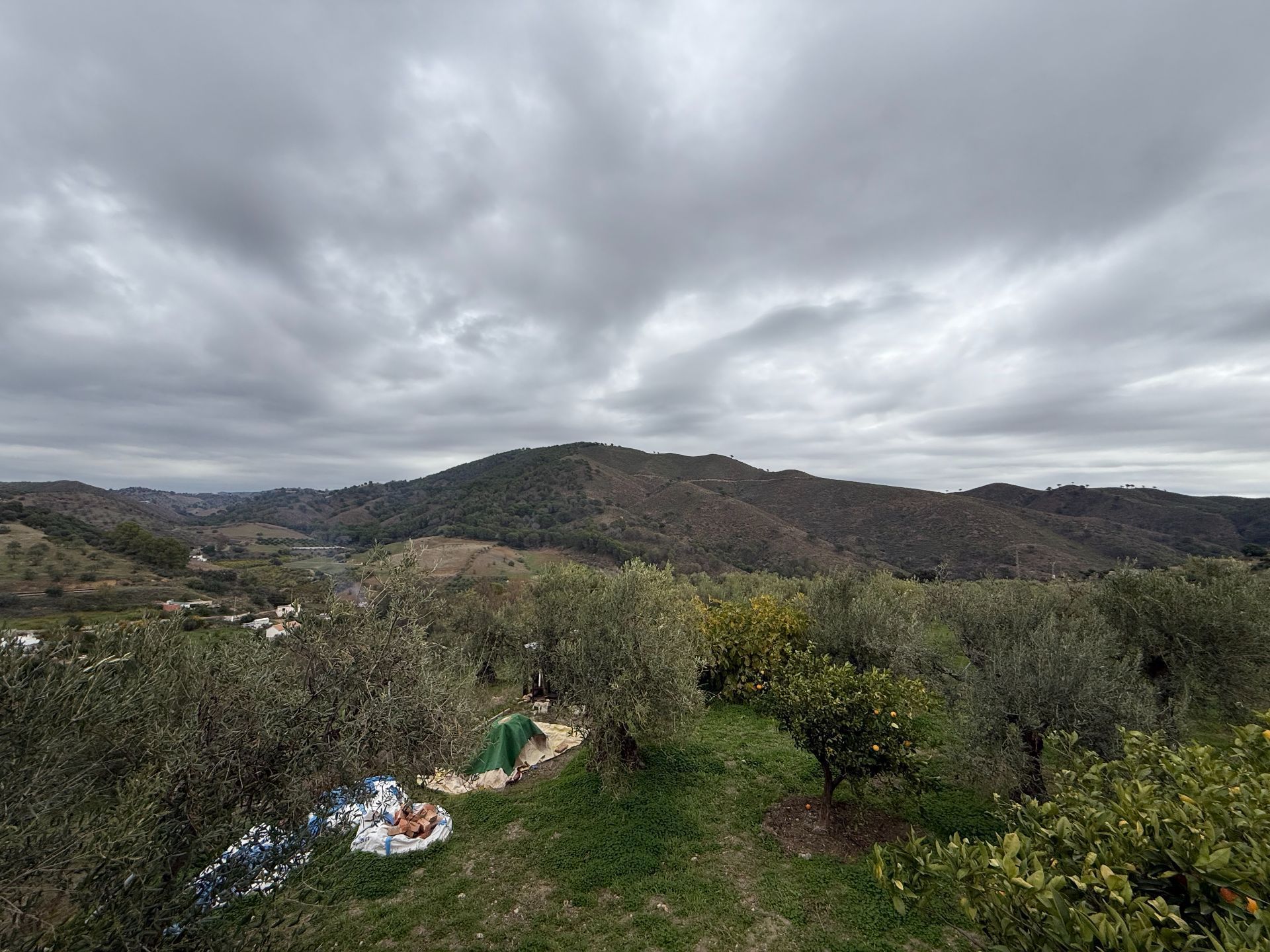 Grundstücke zum verkauf in Casarabonela