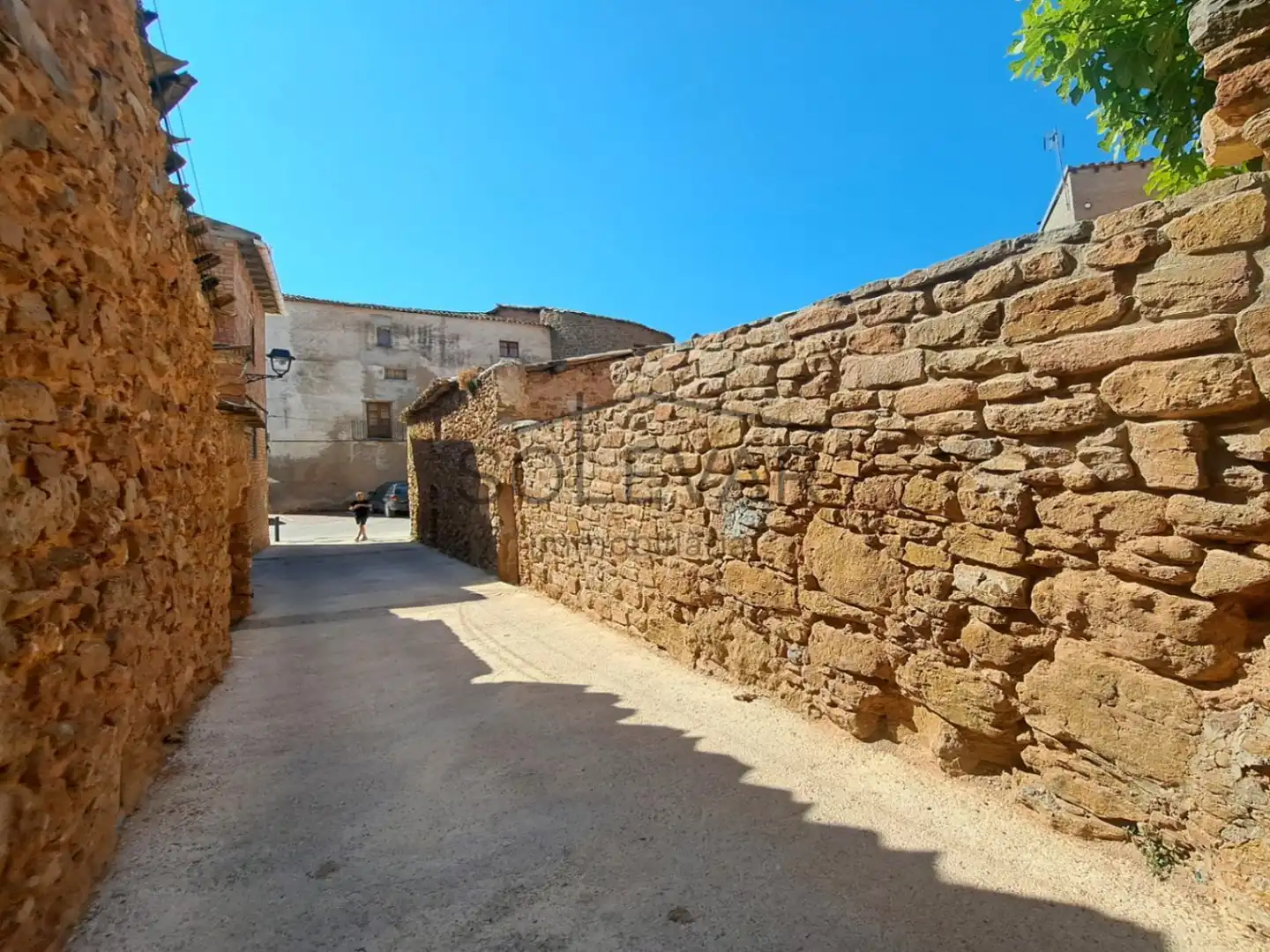 Vista exterior de Finca rústica en venta en Talarn