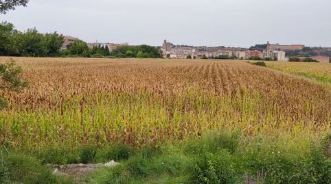Imatge 4 de l'anunci