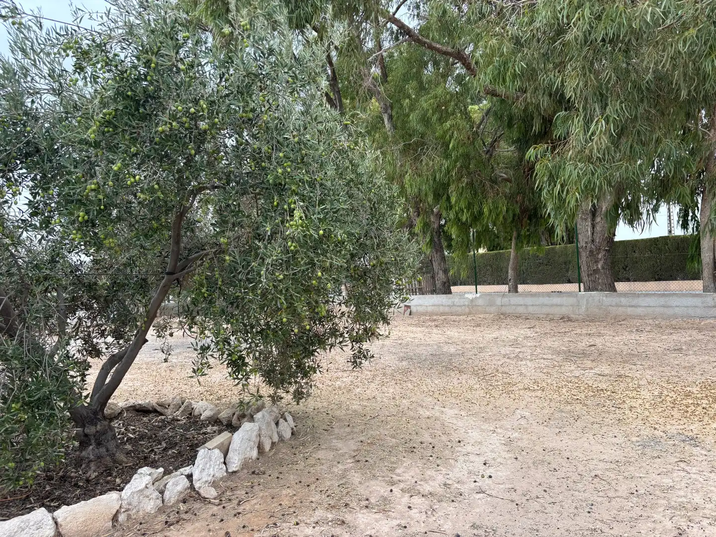 Casa o chalet en venta en Elche / Elx con Aire acondicionado, Jardín privado y Piscina