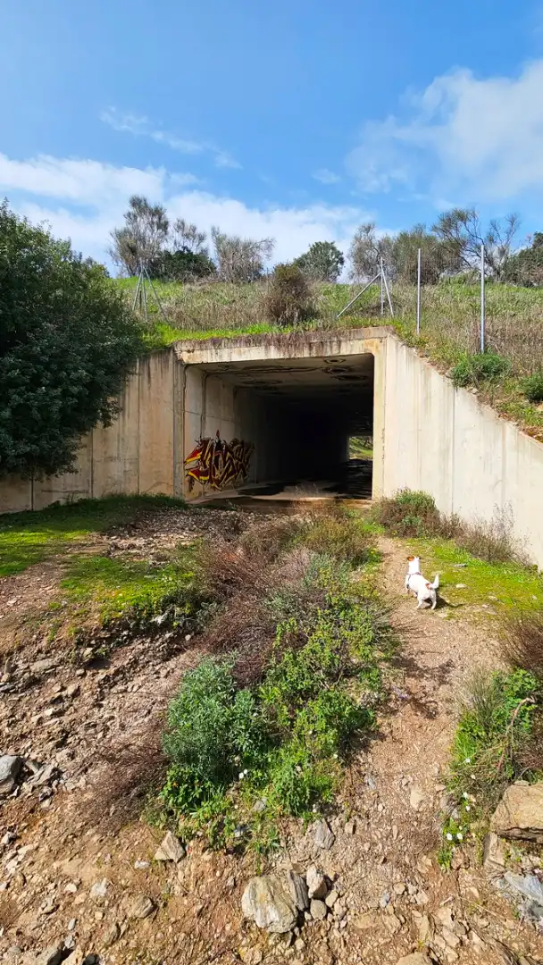 Terreni e lotti in vendita a Santa Olalla del Cala, imagen 24