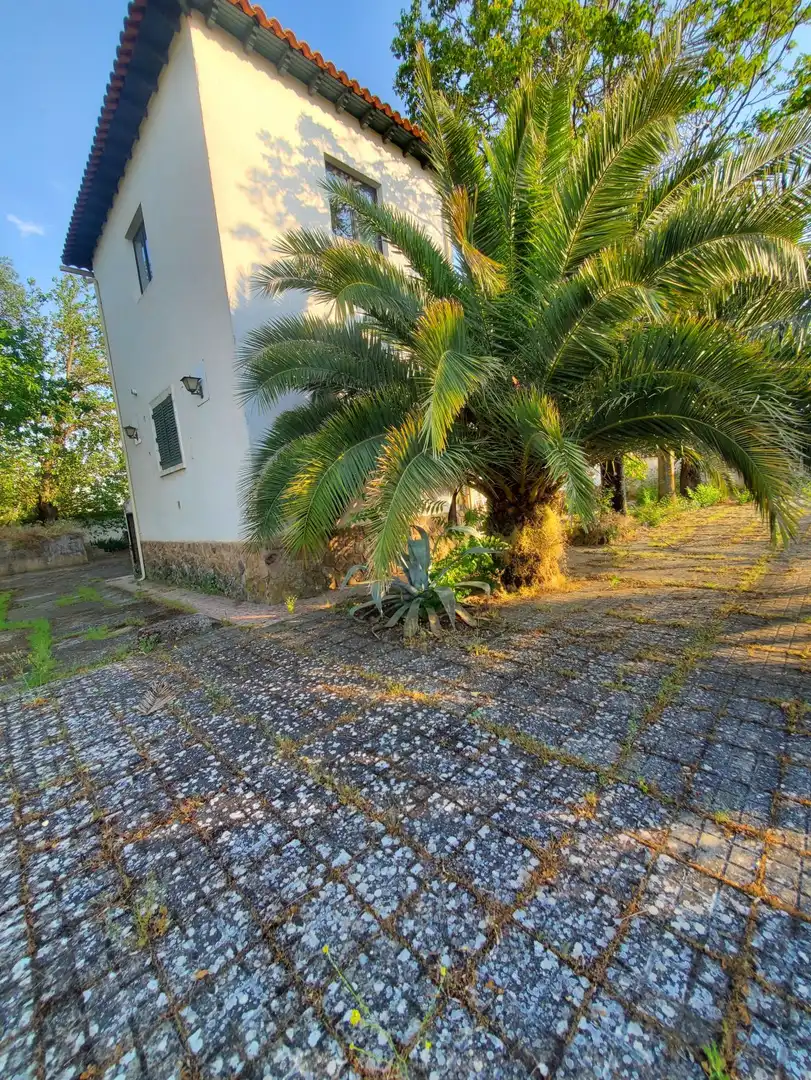 Vista exterior de Casa o chalet en venta en Malagón con Terraza