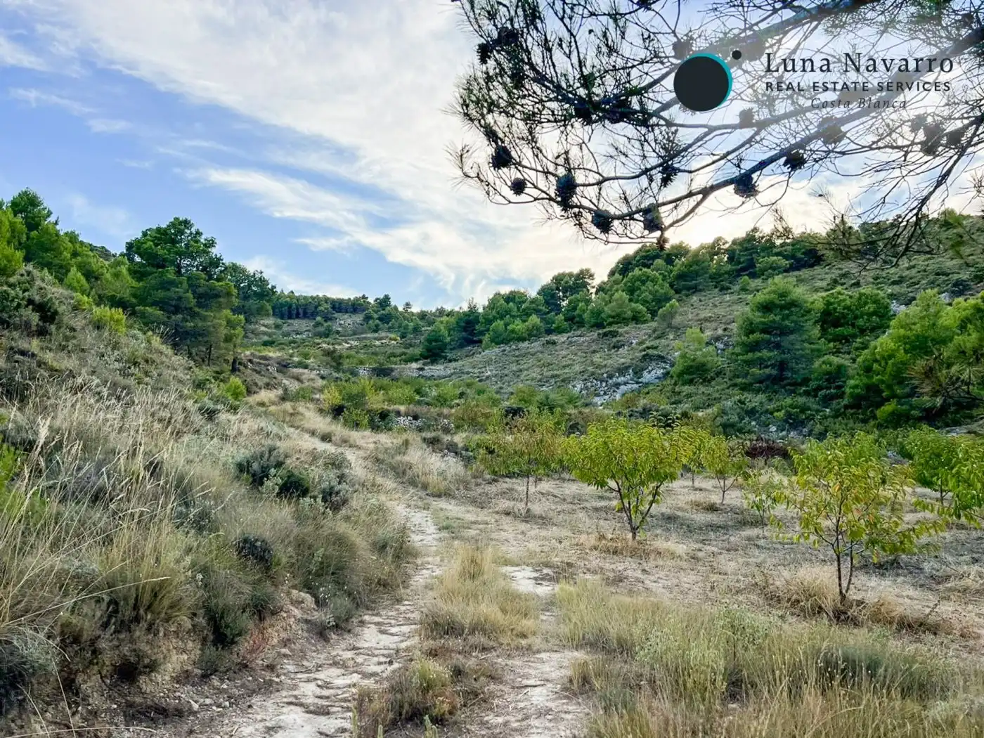 Terreno en venta en Calle San Antonio, 50, Confrides