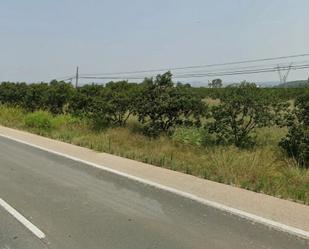 Land for sale in Villanueva de Castellón