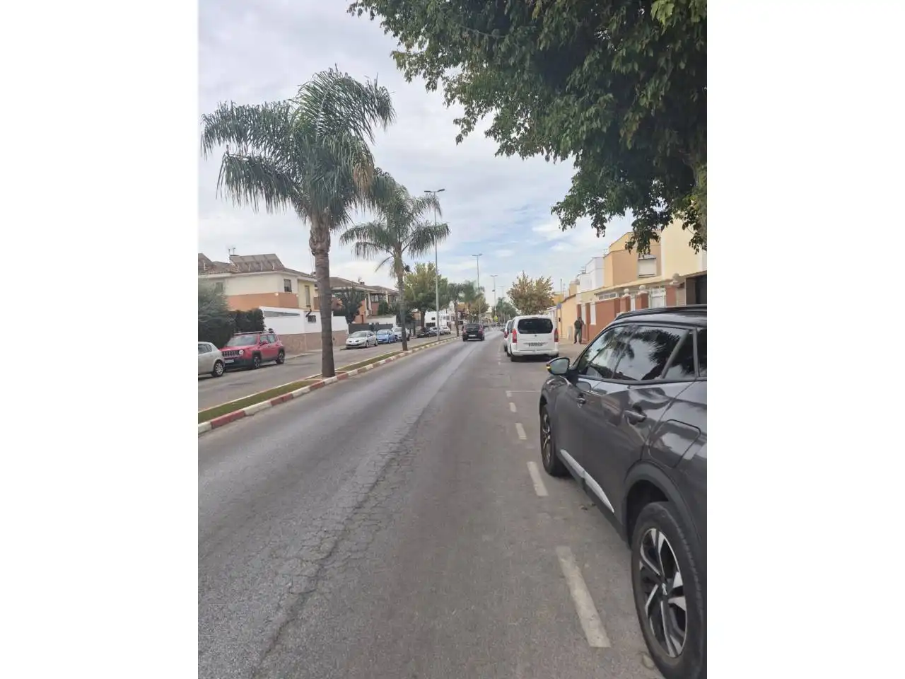 Exterior view of Detached homes for sale in Centro