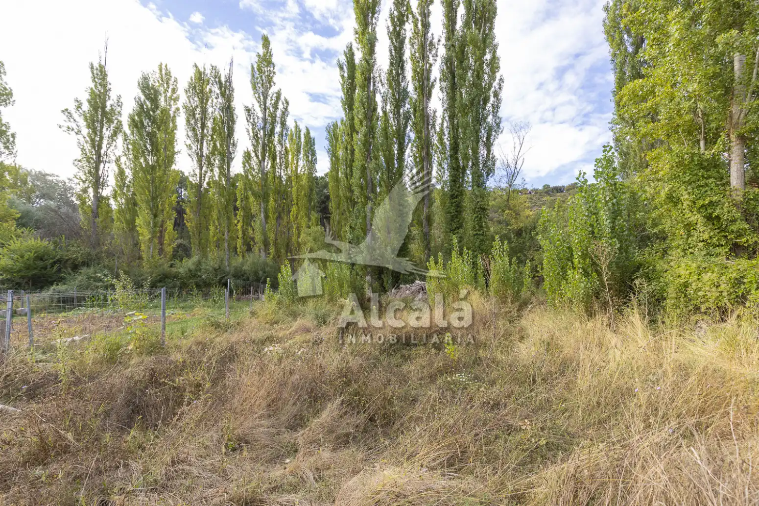 Terreno en venta en Hueva
