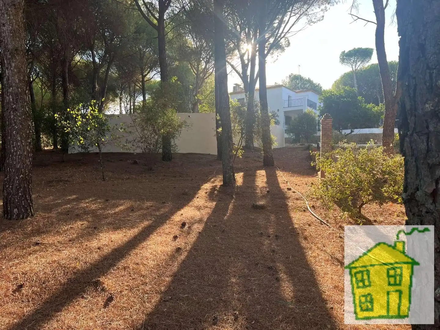 Country house with pool for sale in Andújar, imagen 8
