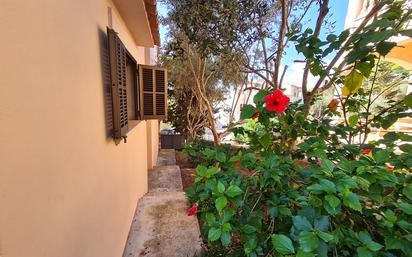 Jardí de Casa o xalet de lloguer en Santanyí amb Aire condicionat