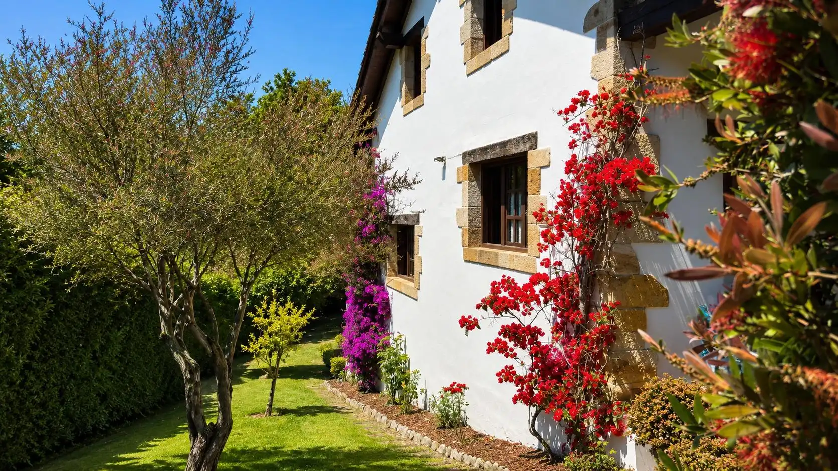Vista exterior de Casa o chalet en venta en Ruiloba con Calefacción, Jardín privado y Terraza