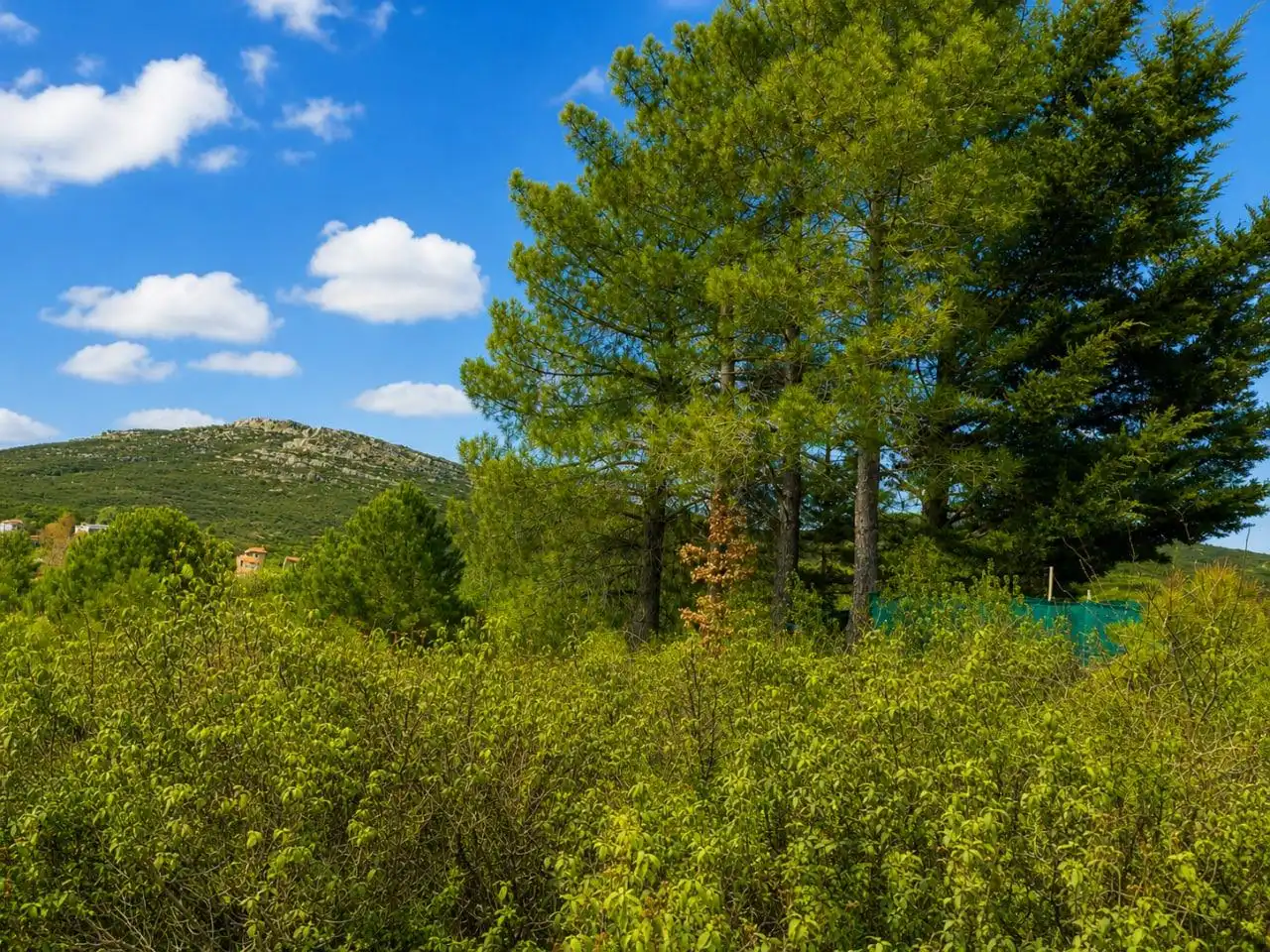 Casa o chalet en venta en Berzosa del Lozoya con Calefacción, Jardín privado y Terraza