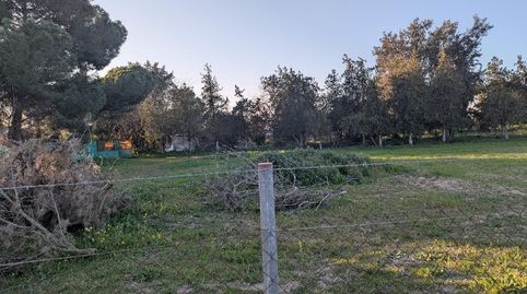 Foto 4 de Casa o chalet en venta en Salesianos, Utrera