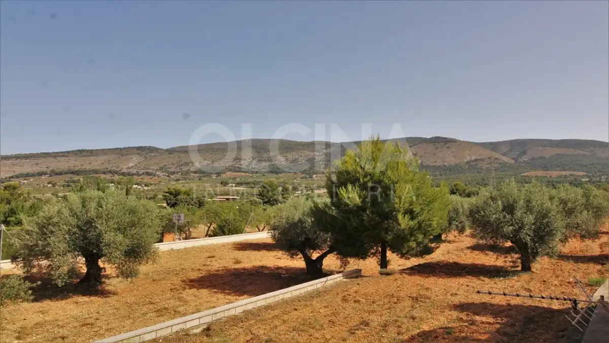 House for sale in Ibi, imagen 62