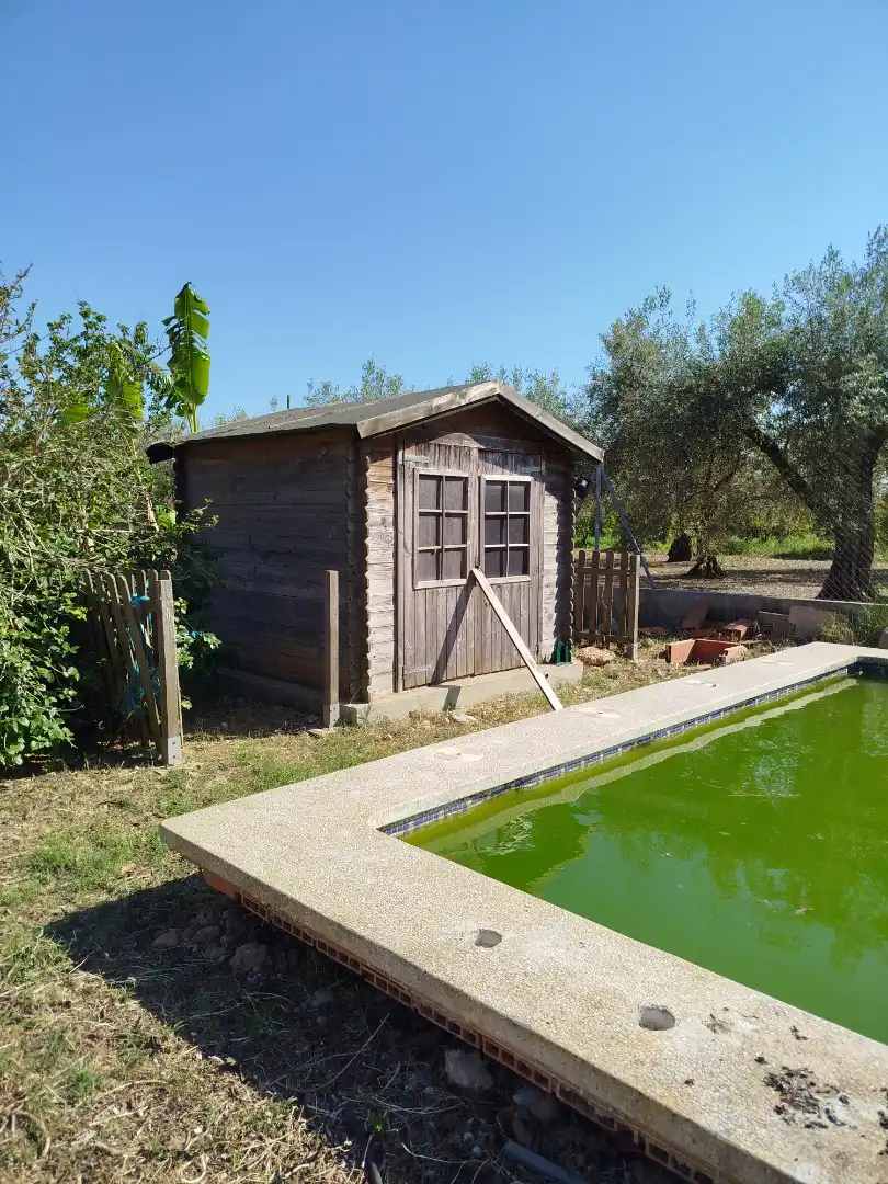 Jardí de Casa o xalet en venda en Benicarló amb Aire condicionat, Calefacció i Jardí privat