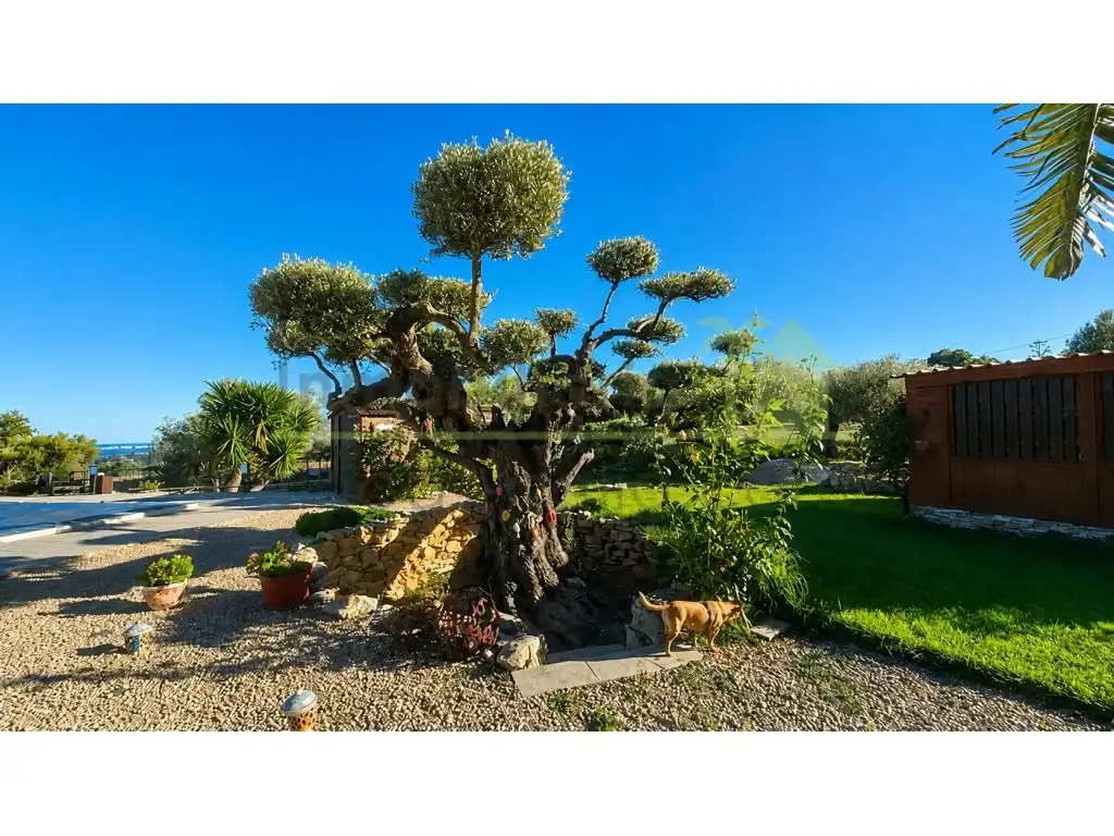 Maison avec piscine à vendre à Càlig, imagen 8