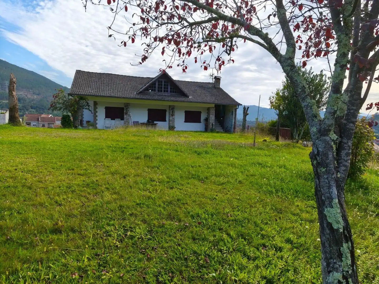 Land for sale in Ribadavia