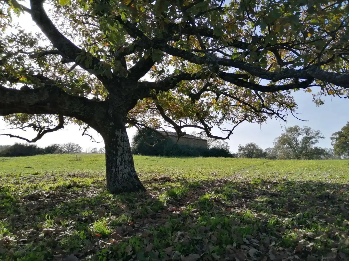 Terreno en venta en Gargüera, Cáceres