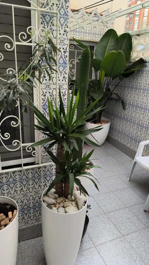 Habitación en Llefià