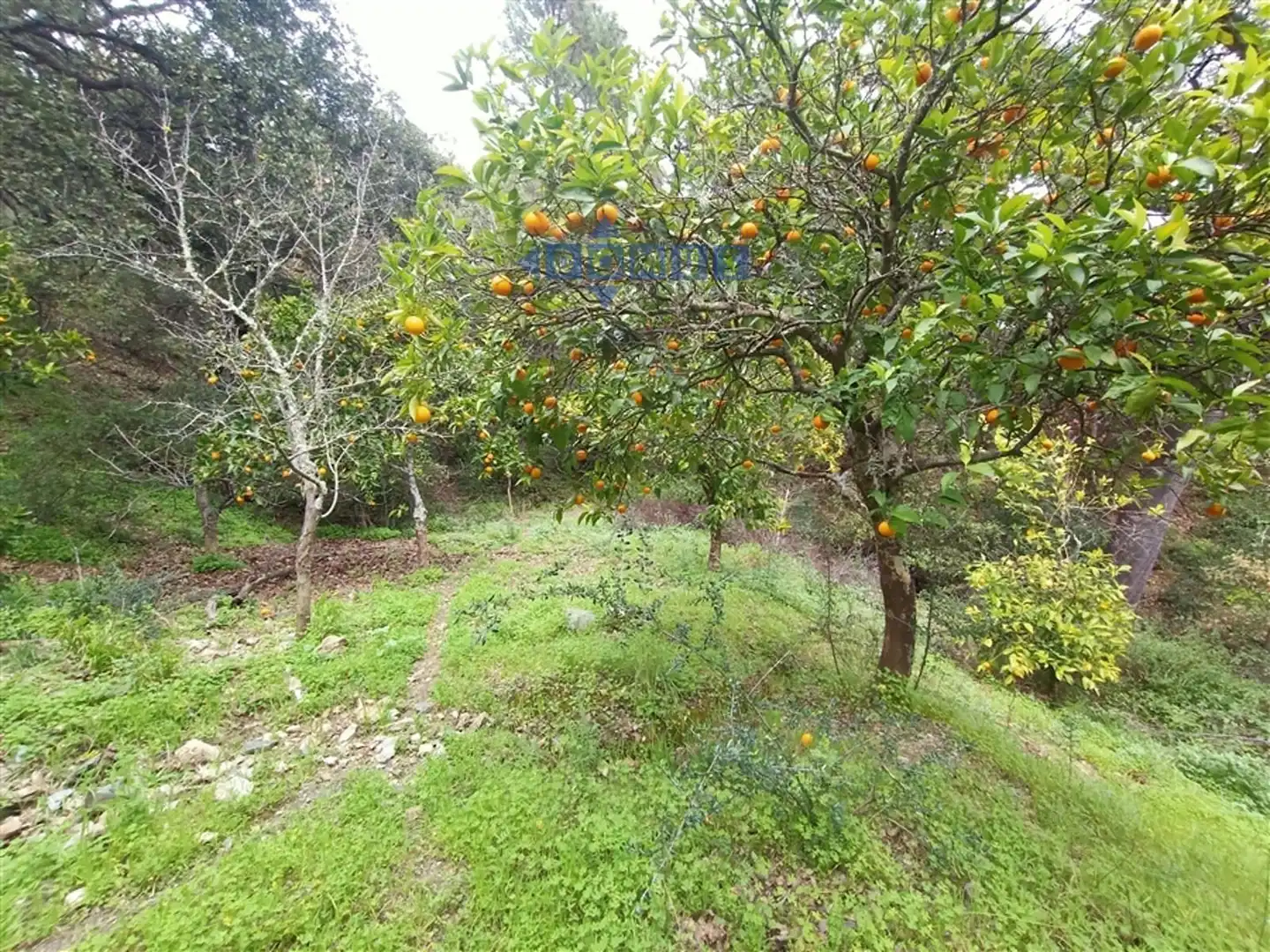 Casa rústica en venda a Algatocín, imagen 2