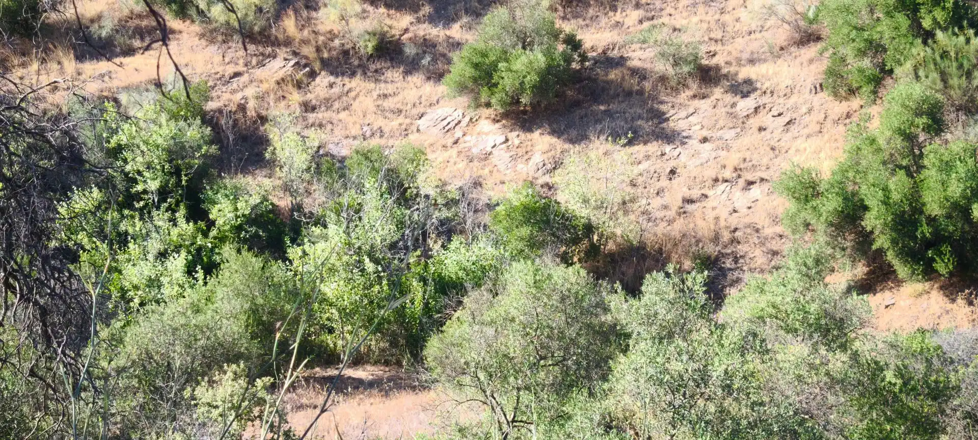 Terreni e lotti in vendita a Pizarra, imagen 24