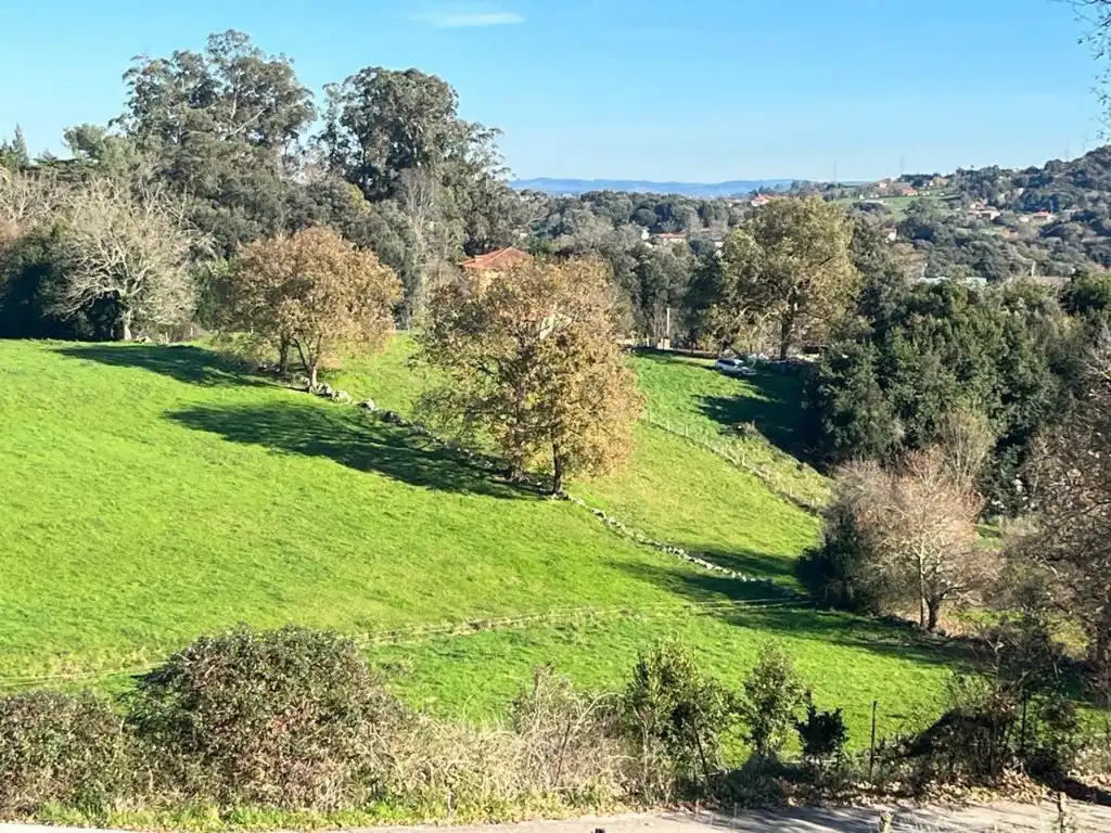 Lands and plots for sale in Campoo de Enmedio, imagen 7