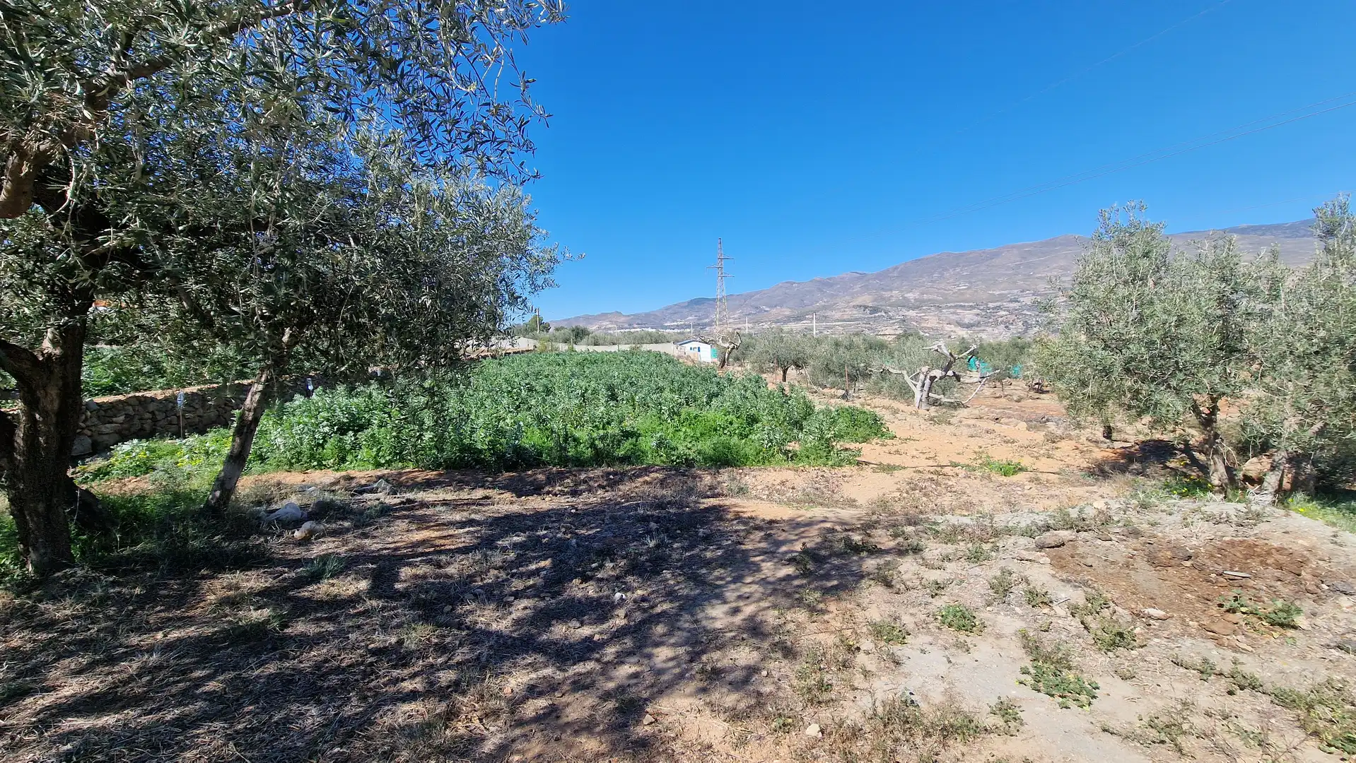 Casa rústica en venda a Canjáyar, imagen 6