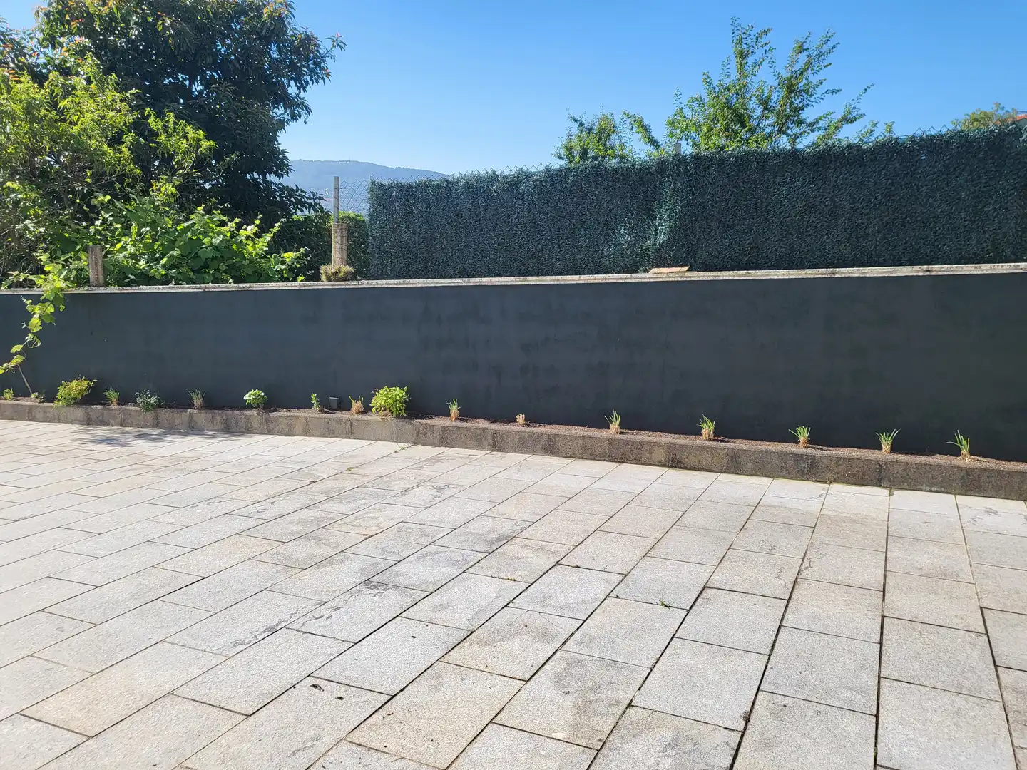 Houses for sale in Sardoma - Castrelos