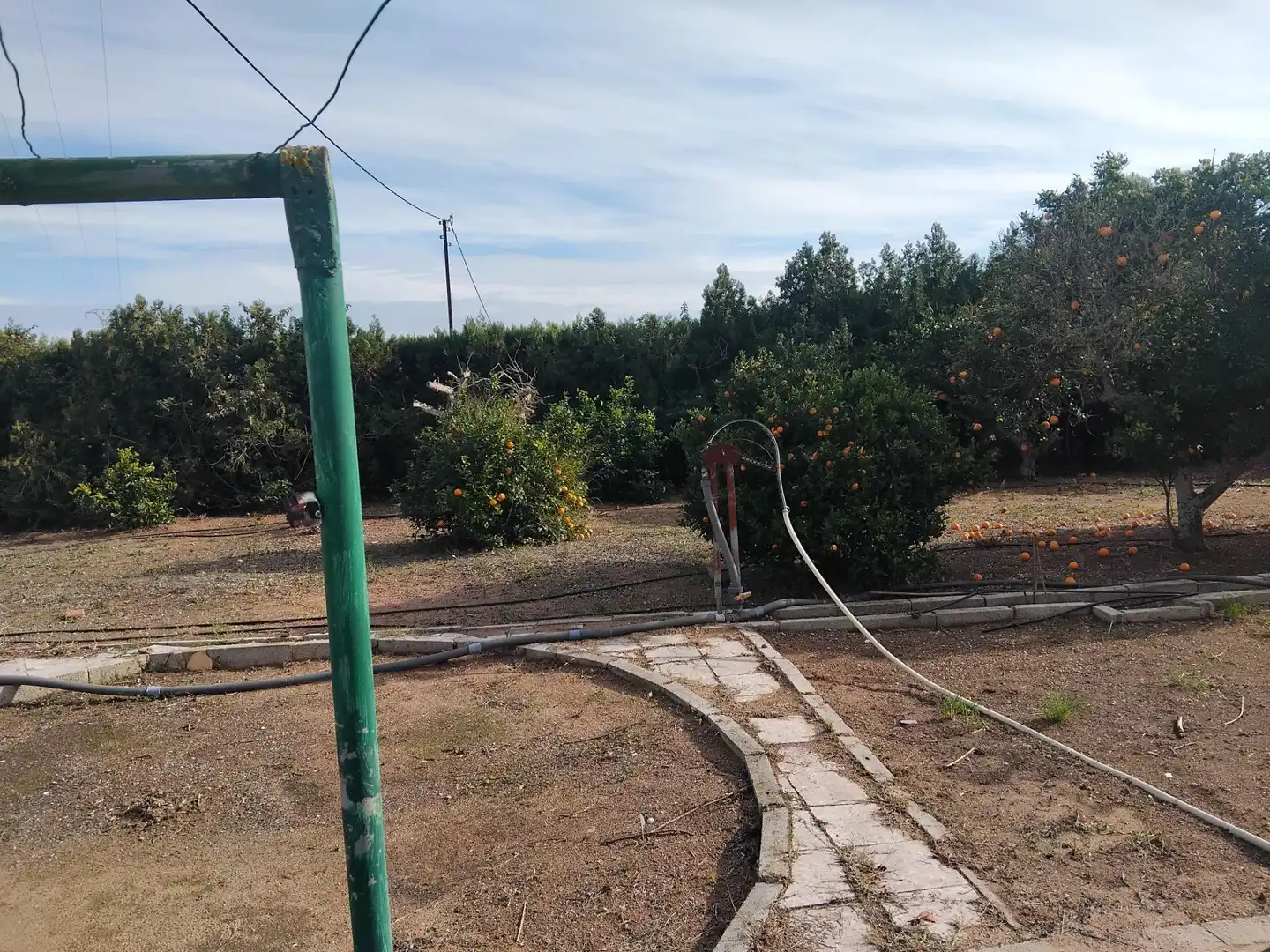 Detached house with garden for sale in El Marenyet, imagen 14