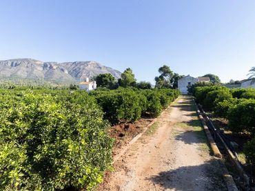 Casa en venda a Benifairó de la Valldigna - HORTA