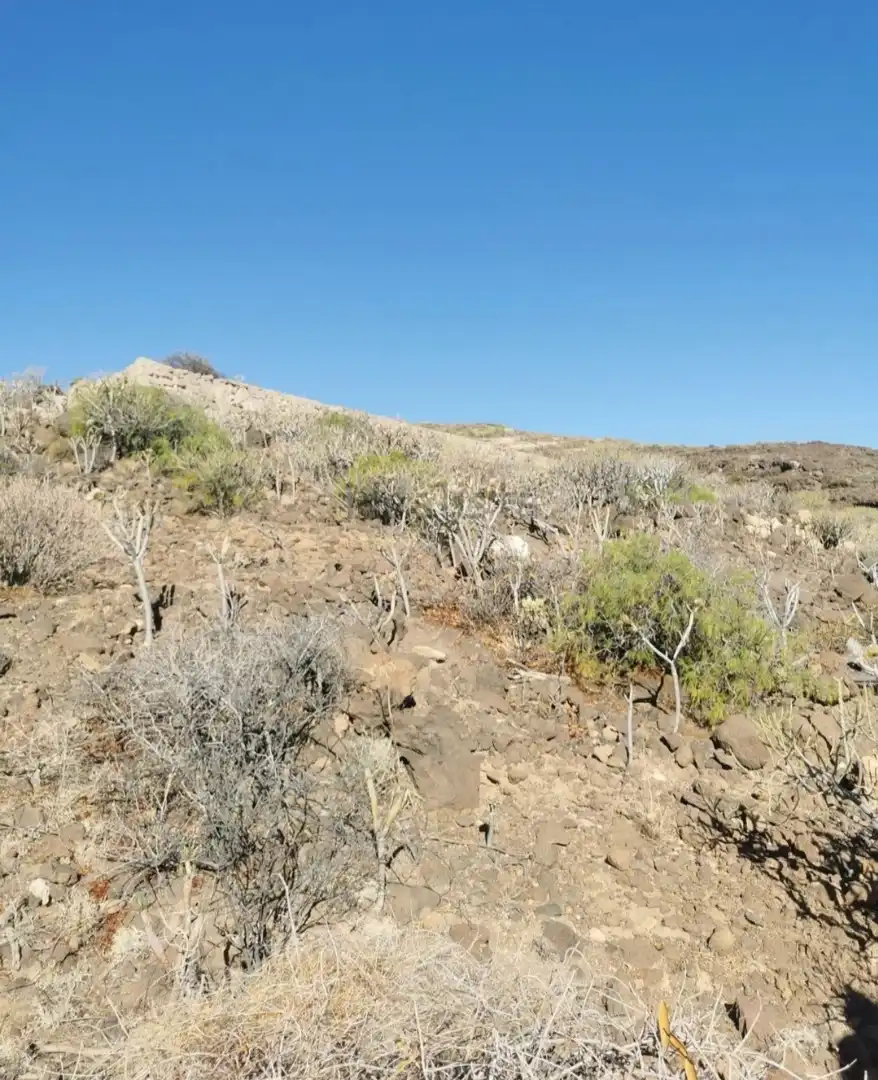 Rural land for sale in TF-28, imagen 3