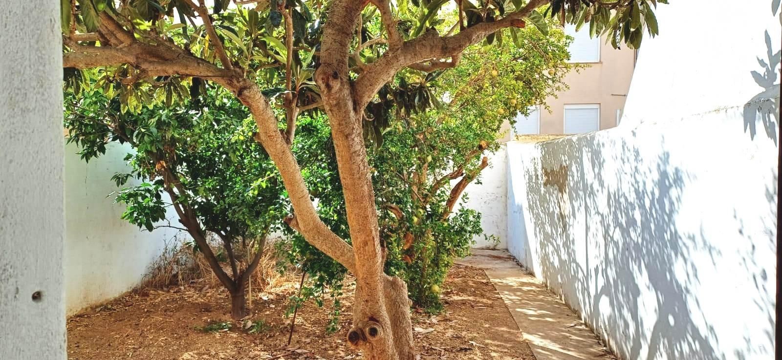 Garden of Planta baja for sale in  Palma de Mallorca  with Private garden, Terrace and Storage room