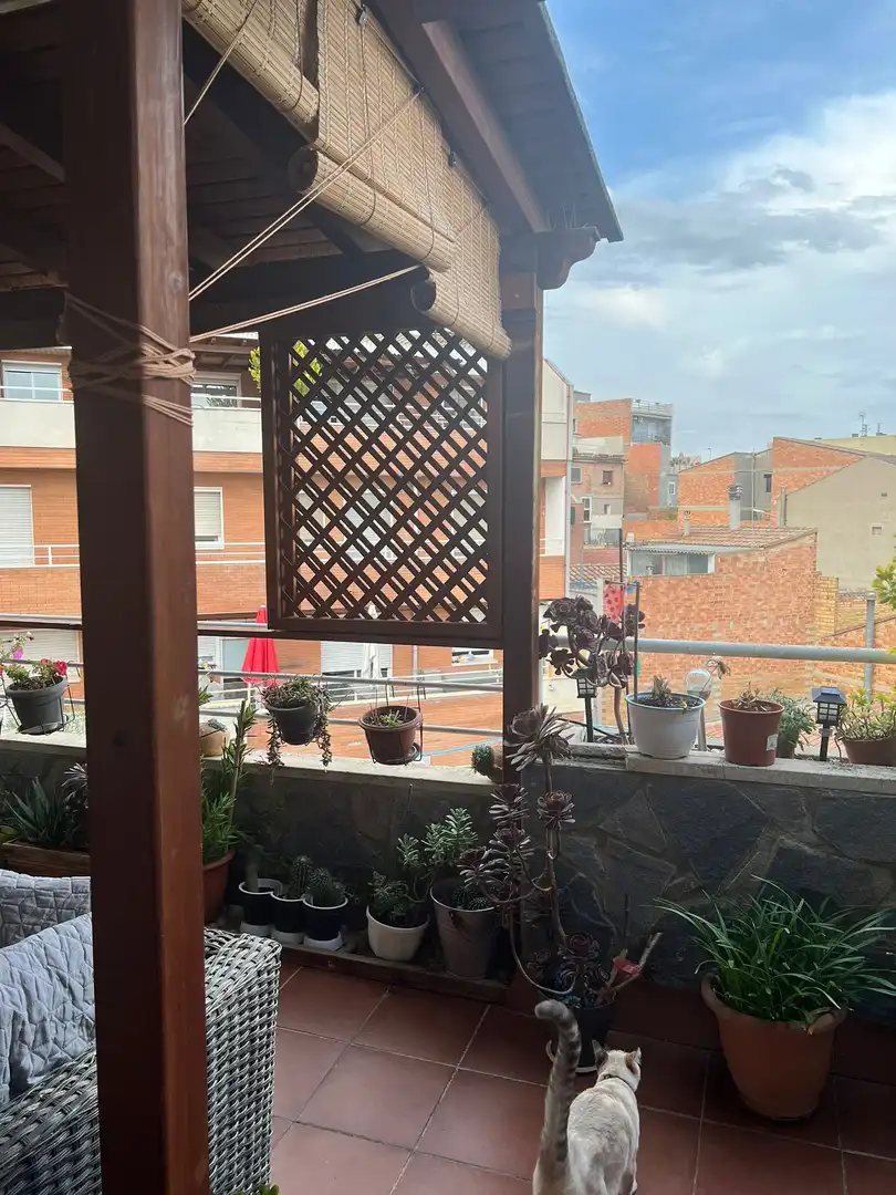 Duplex con piscina in vendita a Alpicat, imagen 14