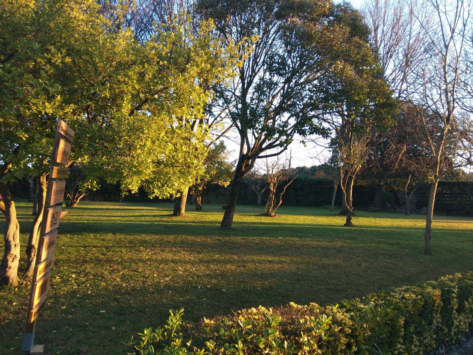 Jardí de Pis per a compartir en Getxo  amb Aire condicionat i Terrassa