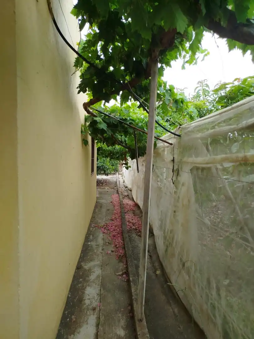 Terrain rustique à vendre à Vélez-Málaga ciudad, imagen 18